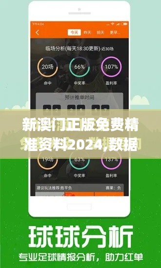 新澳门正版免费精准资料2024,数据导向策略实施_Executive17.595