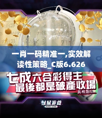 一肖一码精准一,实效解读性策略_C版6.626