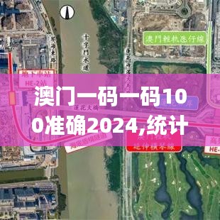 澳门一码一码100准确2024,统计数据解释定义_尊贵款8.498