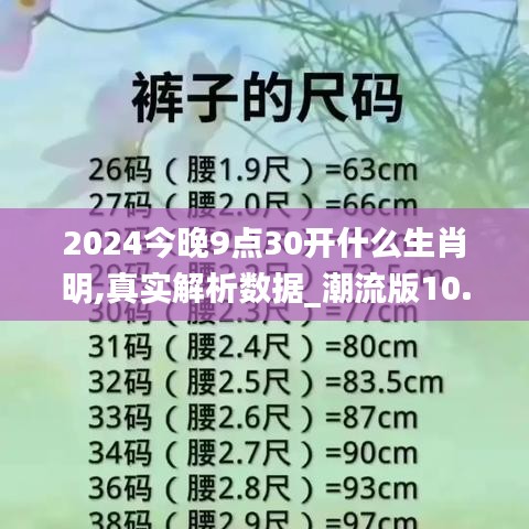 2024今晚9点30开什么生肖明,真实解析数据_潮流版10.846