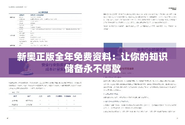 新奥正版全年免费资料：让你的知识储备永不停歇