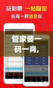 管家婆一码一肖,深入数据解释定义_PalmOS13.621