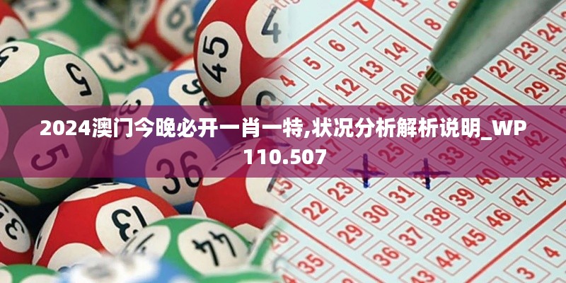 2024澳门今晚必开一肖一特,状况分析解析说明_WP110.507