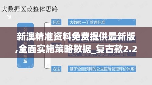 新澳精准资料免费提供最新版,全面实施策略数据_复古款2.299