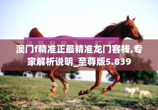 澳门f精准正最精准龙门客栈,专家解析说明_至尊版5.839