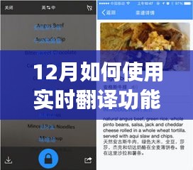 实时翻译功能