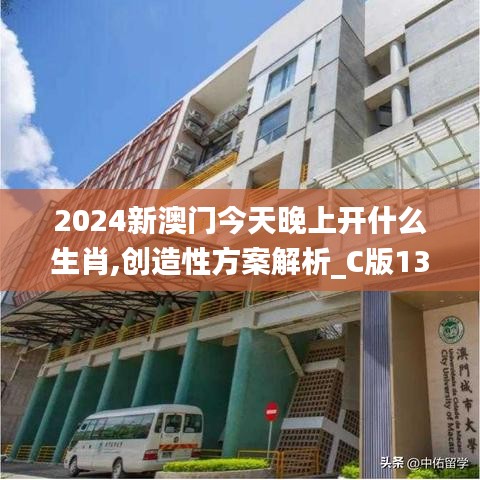 2024新澳门今天晚上开什么生肖,创造性方案解析_C版13.774