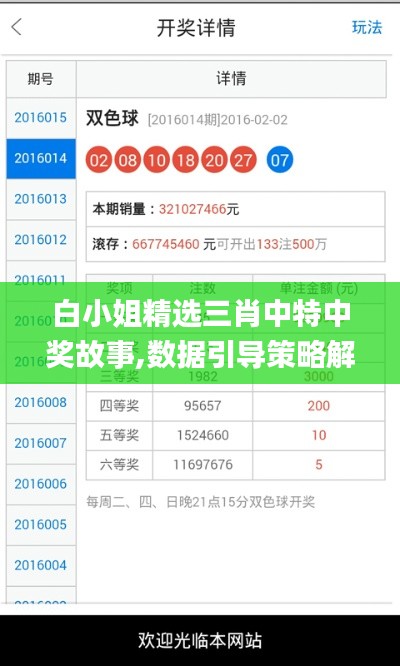 白小姐精选三肖中特中奖故事,数据引导策略解析_精简版3.784
