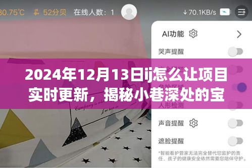 揭秘特色小店的实时更新秘诀与环境魅力，小巷深处的宝藏与项目实时更新策略发布于2024年12月13日ij
