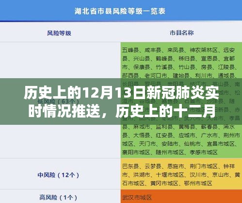 历史上的十二月十三日新冠肺炎实时情况回顾与推送