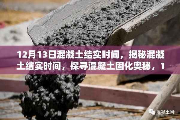 不翼而飞 第5页