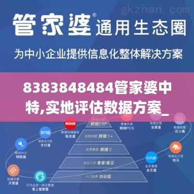 8383848484管家婆中特,实地评估数据方案_eShop9.256