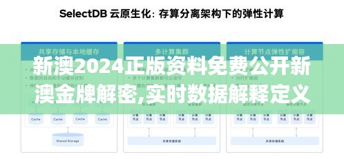 新澳2024正版资料免费公开新澳金牌解密,实时数据解释定义_高级版7.701