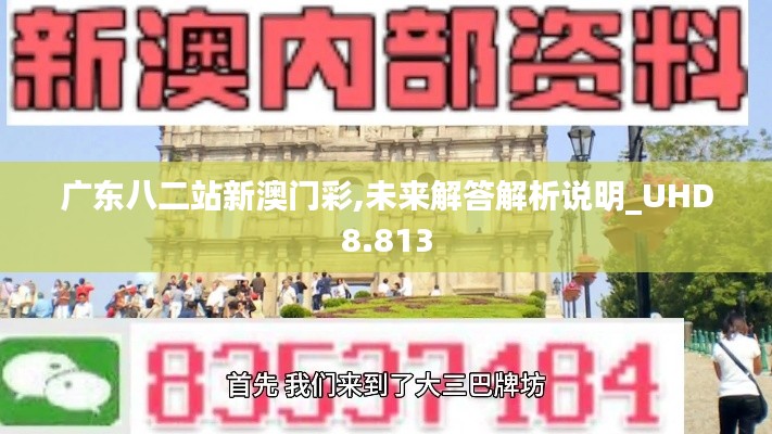 广东八二站新澳门彩,未来解答解析说明_UHD8.813