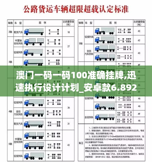 澳门一码一码100准确挂牌,迅速执行设计计划_安卓款6.892