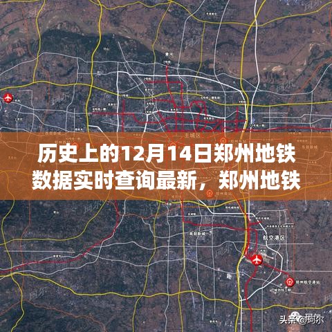 乌鸟之情 第4页