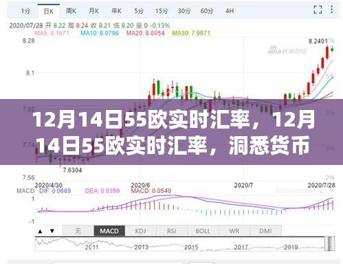 12月14日55欧实时汇率，洞悉货币价值，掌握金融走势