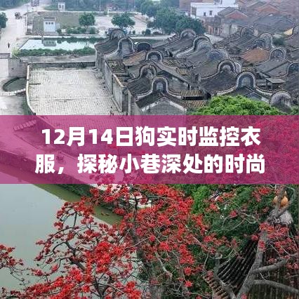 admin 第5页