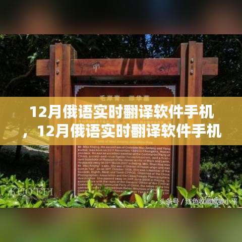 12月俄语实时翻译软件手机，全面评测与介绍