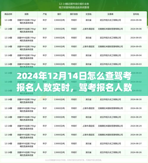 2024年12月14日驾考报名人数实时查询系统评测及查询方法