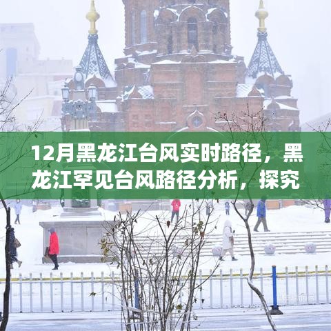 黑龙江罕见台风路径分析与气象现象背后的影响，实时路径追踪与影响探究