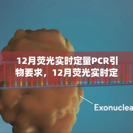 12月荧光实时定量PCR引物要求详解，深度解析、观点探讨与立场阐述