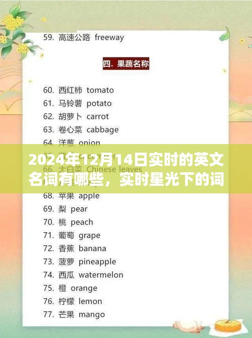 实时英文名词下的词汇奇缘，星光下的温馨日常故事（2024年12月14日）