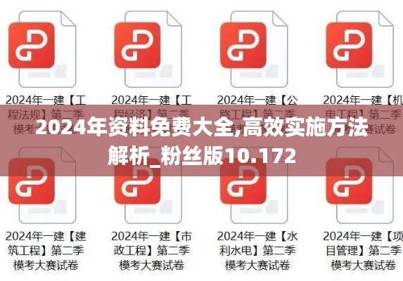 2024年资料免费大全,高效实施方法解析_粉丝版10.172