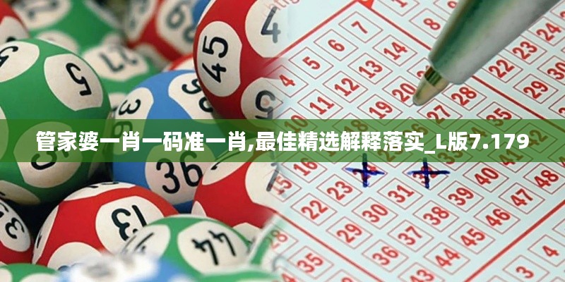 管家婆一肖一码准一肖,最佳精选解释落实_L版7.179