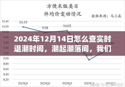 探寻退潮时间的奇妙之旅，如何查询2024年12月14日实时退潮时间，共度温馨时光