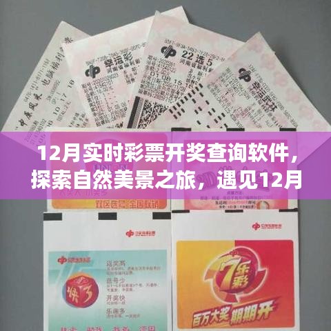 澹泊明志，宁静致远 第4页