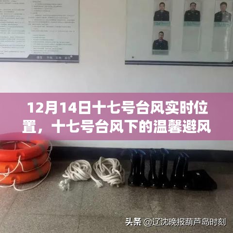 十七号台风下的家庭避风港故事，温馨与力量的交织