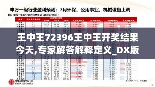 王中王72396王中王开奖结果今天,专家解答解释定义_DX版9.316