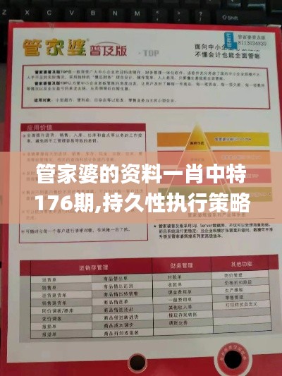 管家婆的资料一肖中特176期,持久性执行策略_经典款5.620