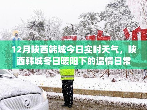 实时天气播报