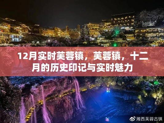 飞禽走兽 第5页