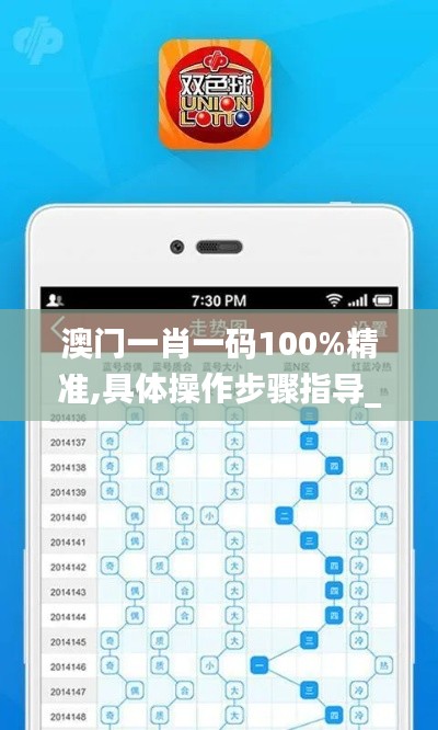澳门一肖一码100%精准,具体操作步骤指导_移动版3.597