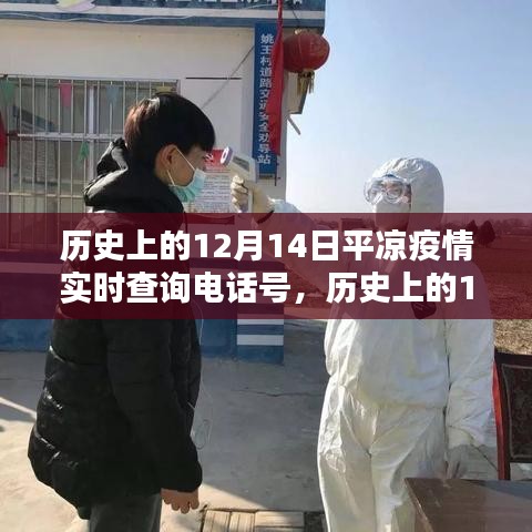 历史上的12月14日平凉疫情实时查询电话号，回顾与科普知识分享