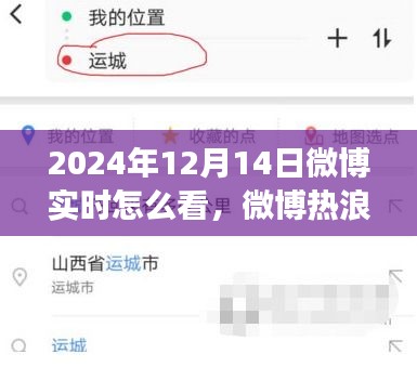 微博热浪涌动，2024年12月14日实时观察与回顾