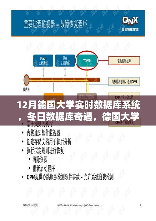 德国大学实时数据库系统，冬日温情日常与数据库奇遇揭秘