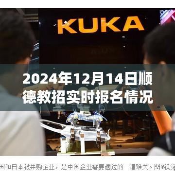顺德教招实时报名情况深度解析，最新数据报告