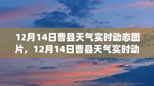 12月14日曹县天气实时动态图片解析，特性、体验与竞品对比