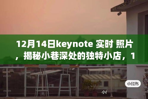 小巷深处的独特小店