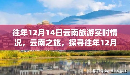 探寻往年12月14日的云南足迹与时光印记，旅游实时情况回顾
