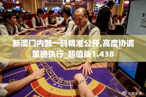 新澳门内部一码精准公开,高度协调策略执行_超值版1.438