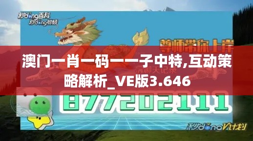 澳门一肖一码一一子中特,互动策略解析_VE版3.646
