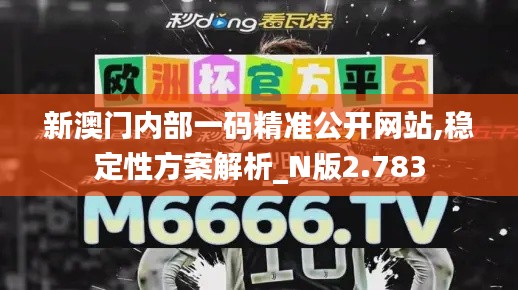 新澳门内部一码精准公开网站,稳定性方案解析_N版2.783