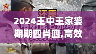 2024王中王家婆期期四肖四,高效策略设计_特别款7.857