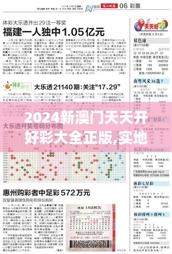 2024新澳门天天开好彩大全正版,实地分析数据应用_专属款5.922