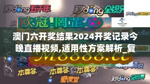 澳门六开奖结果2024开奖记录今晚直播视频,适用性方案解析_复古款3.947